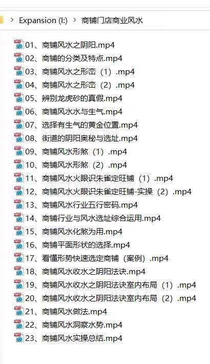 道易网络课堂《商铺门店商业风水》23集 百度网盘下载-真传国学
