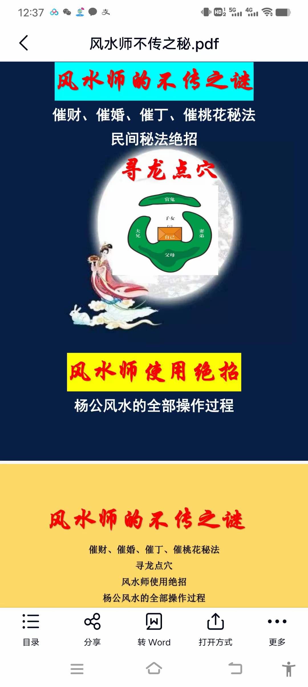 风水大师不传之秘《风水师使用绝招》1054页-真传国学