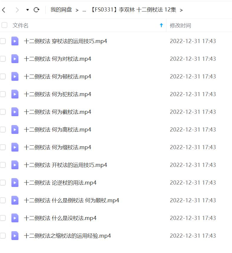 李双林 十二倒杖法 12集 夸克网盘下载-真传国学