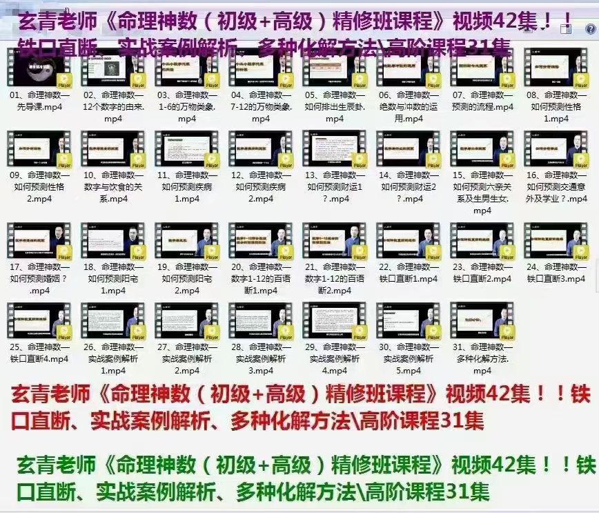 玄青老师命理神数(初级+高级)42集-真传国学