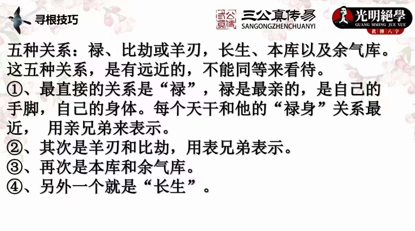 夏光明弟子 德灵老师 干支寻根解密视频+文档-真传国学