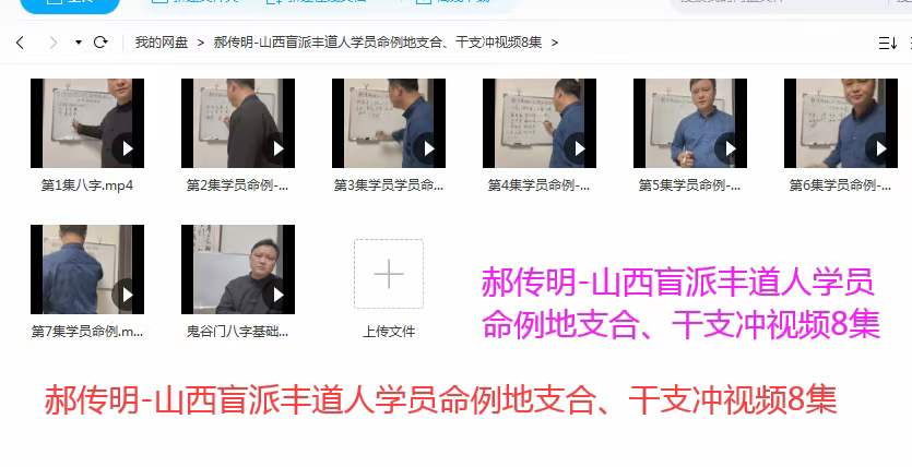 郝传明-山西盲派丰道人学员命例地支合、干支冲视频8集-真传国学