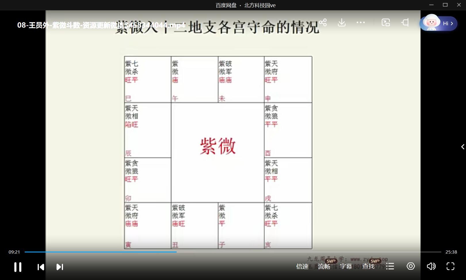 九龙道长推荐 王员外 紫微斗数课程40集视频-真传国学