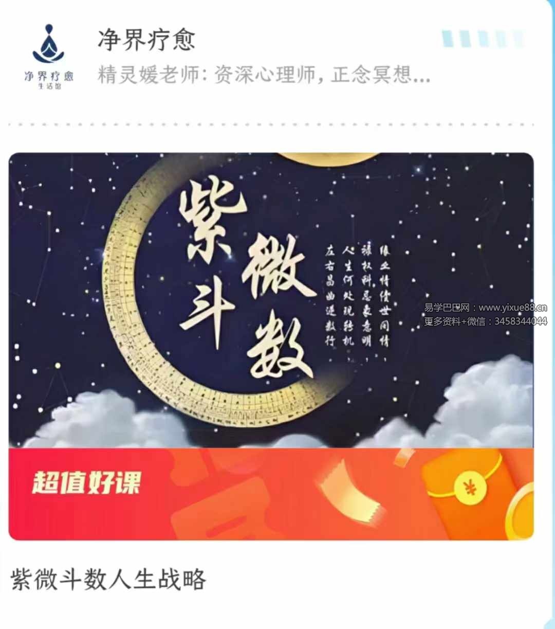 紫微斗数人生战略39集-真传国学