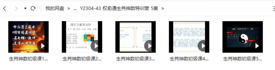 权俞通生肖神数特训营 5集-真传国学