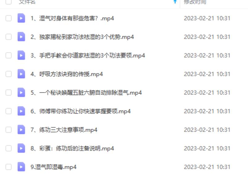 三三居士道家内功祛湿功法视频9集-真传国学