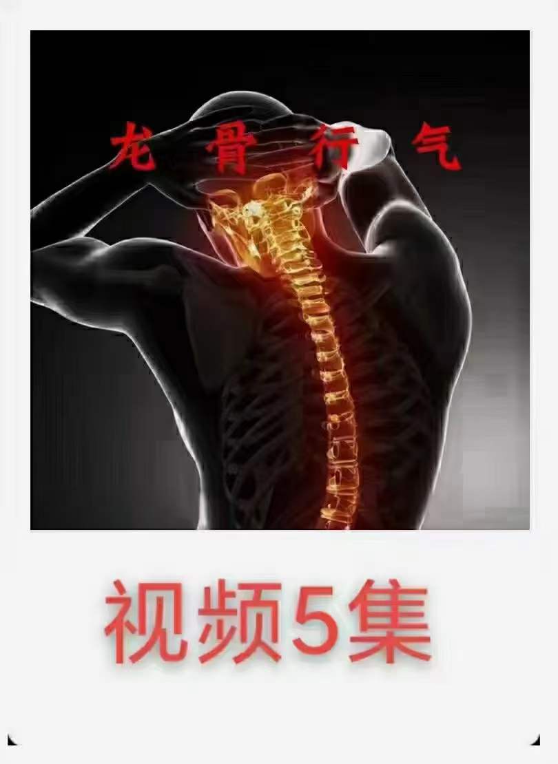 涂金盛龙骨行气-真传国学