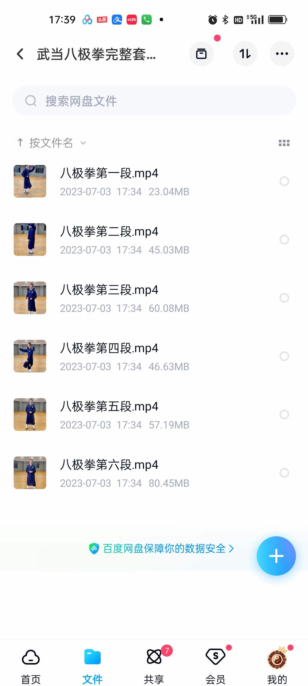 武当八极拳完整套路课程6集-真传国学