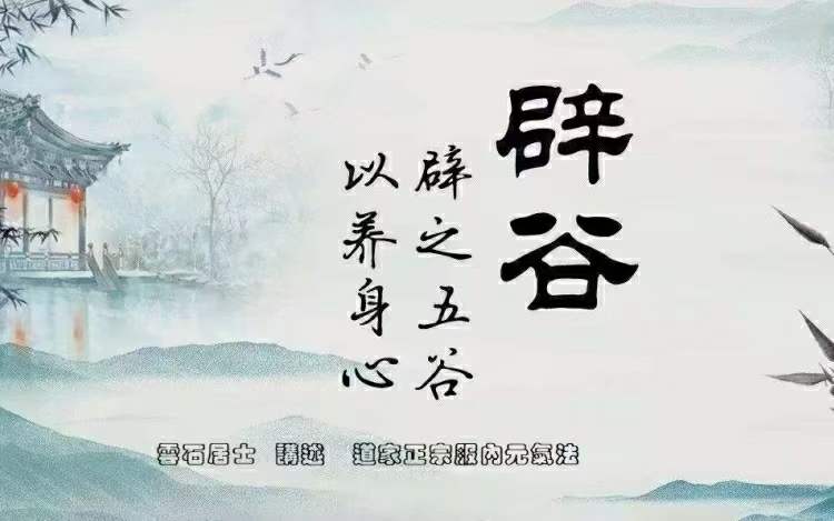 杨光 道家正宗服气辟谷术14集-真传国学