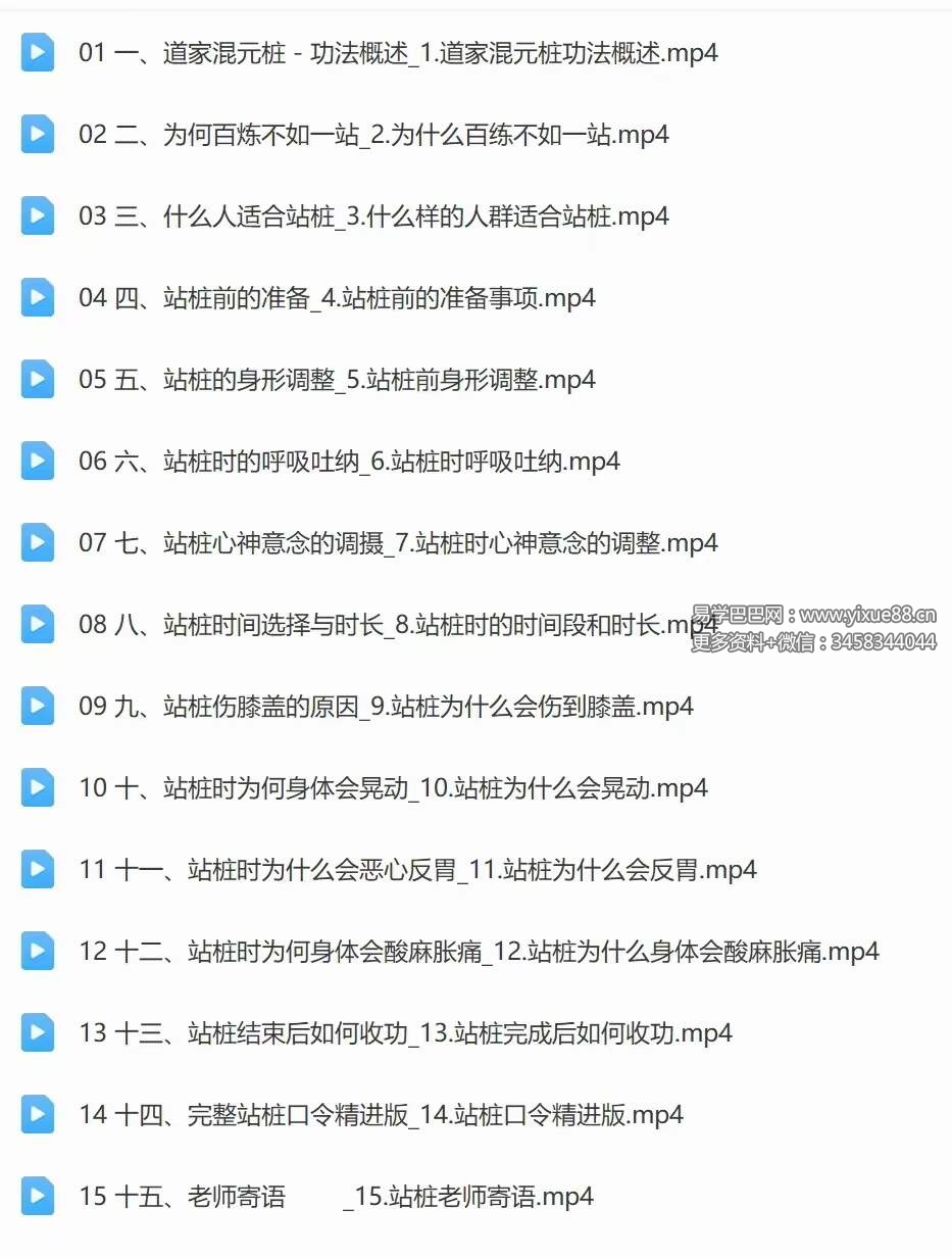 武当李资通 道家混元桩-线上教学课程15集-真传国学