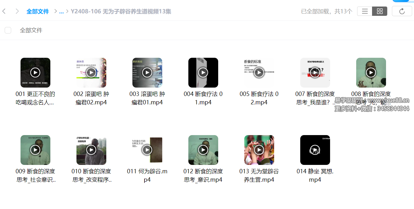 无为子辟谷养生道视频13集-真传国学