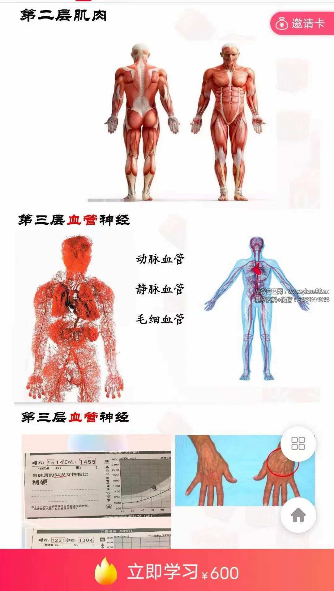 黄庭内景十层太阳桩 私教课1集-真传国学