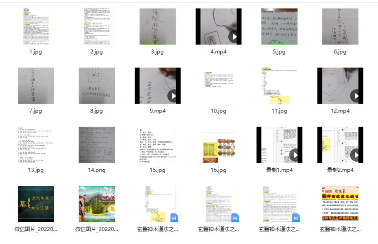 玄毉神术道法之种生基阴阳宅生基开运转运大法(视频+文档+图片)-真传国学