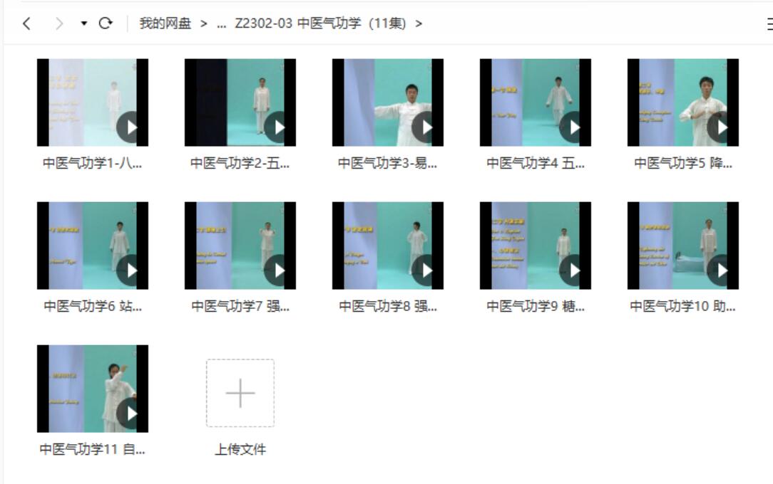 中医气功学(11集)-真传国学