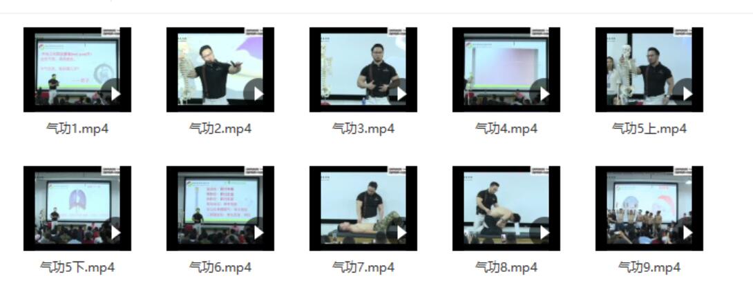 《苗振气功呼吸》课程9集10个视频 百度云下载!-真传国学