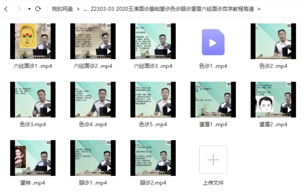 2020王涛面诊基础望诊色诊眼诊望眉六经面诊自学教程高清-真传国学