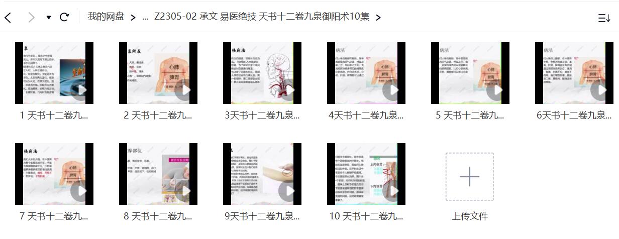 承文 易医绝技 天书十二卷九泉御阳术10集-真传国学