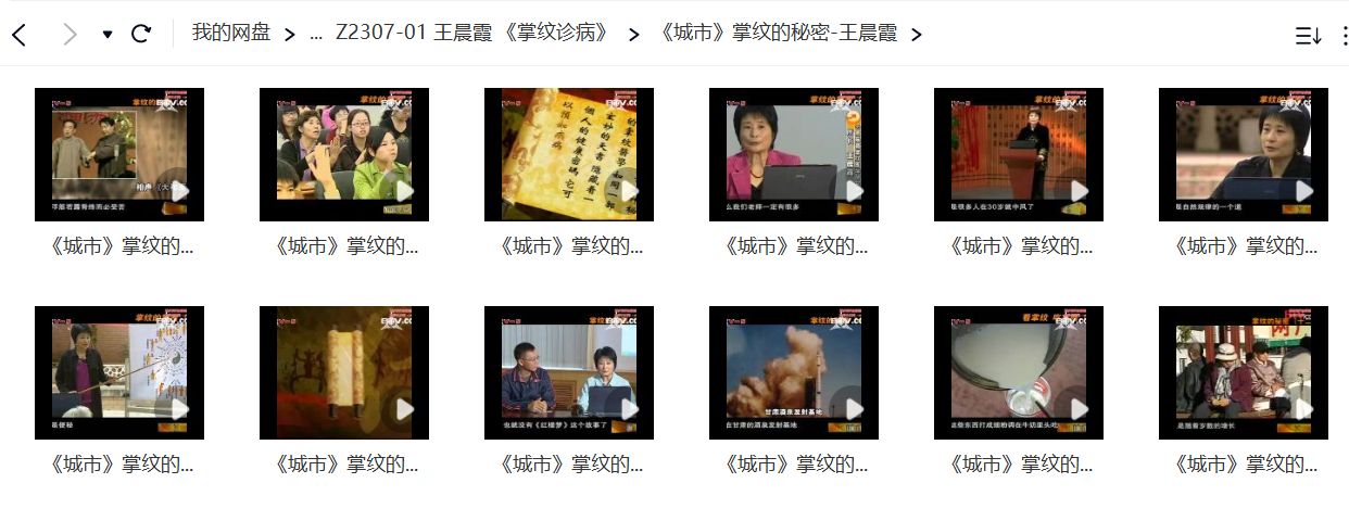 王晨霞《掌纹诊病》-真传国学