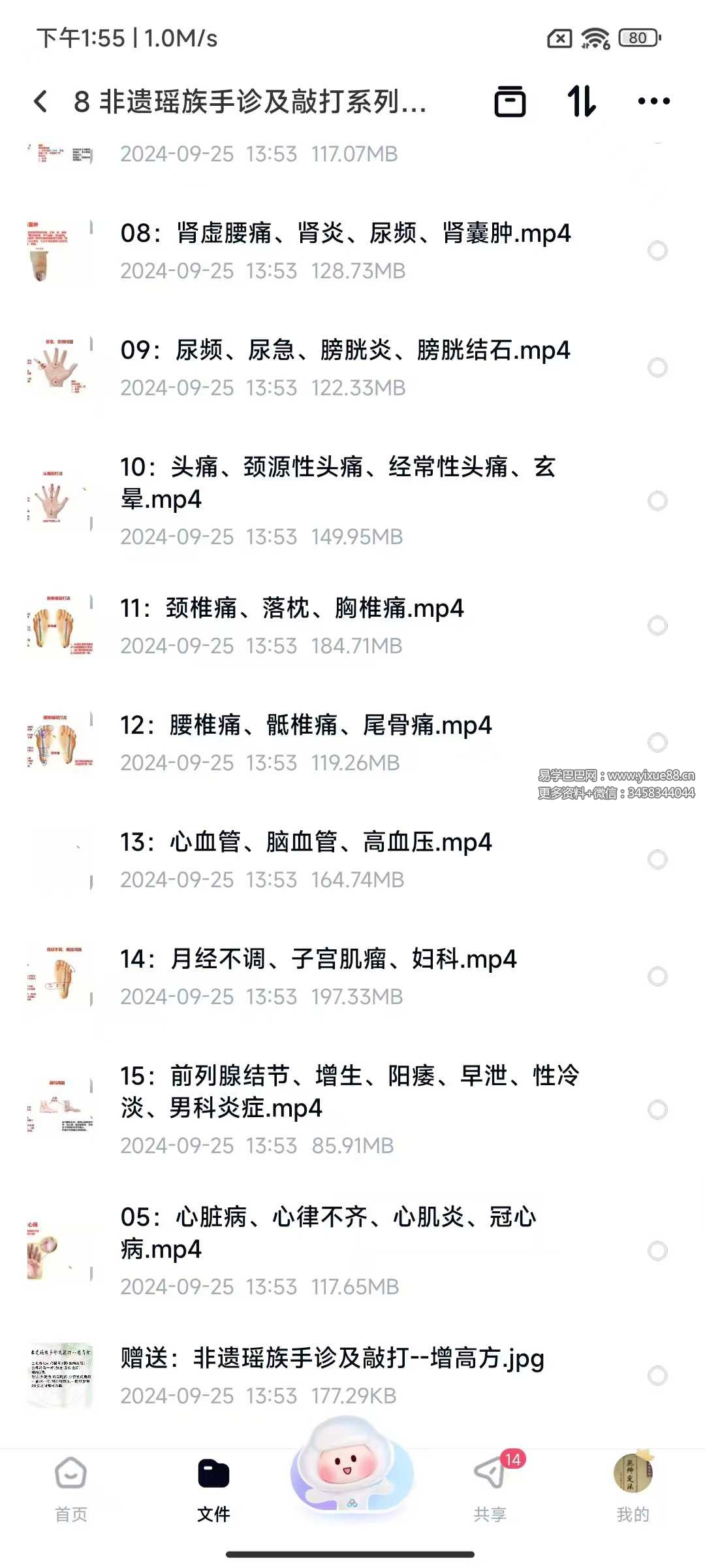 非遗瑶族手诊及敲打系列15集-真传国学