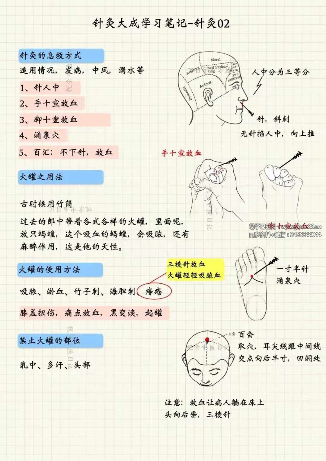 祝余《针灸大成图文笔记》68页 彩色版-真传国学