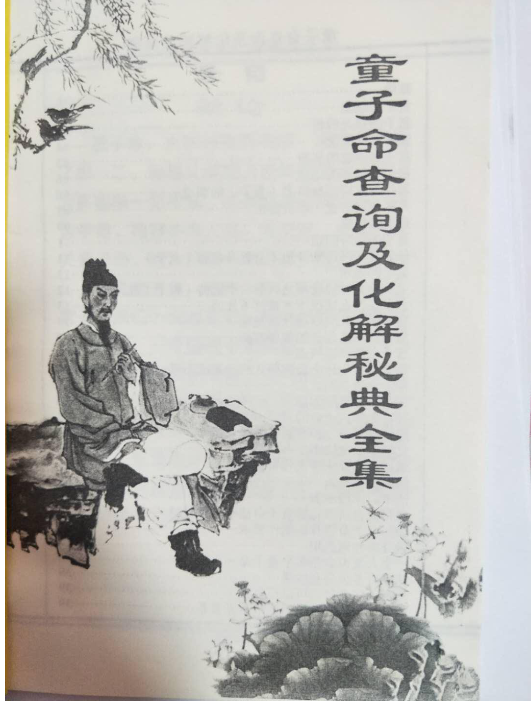 童子命查询及化解秘典全集-真传国学