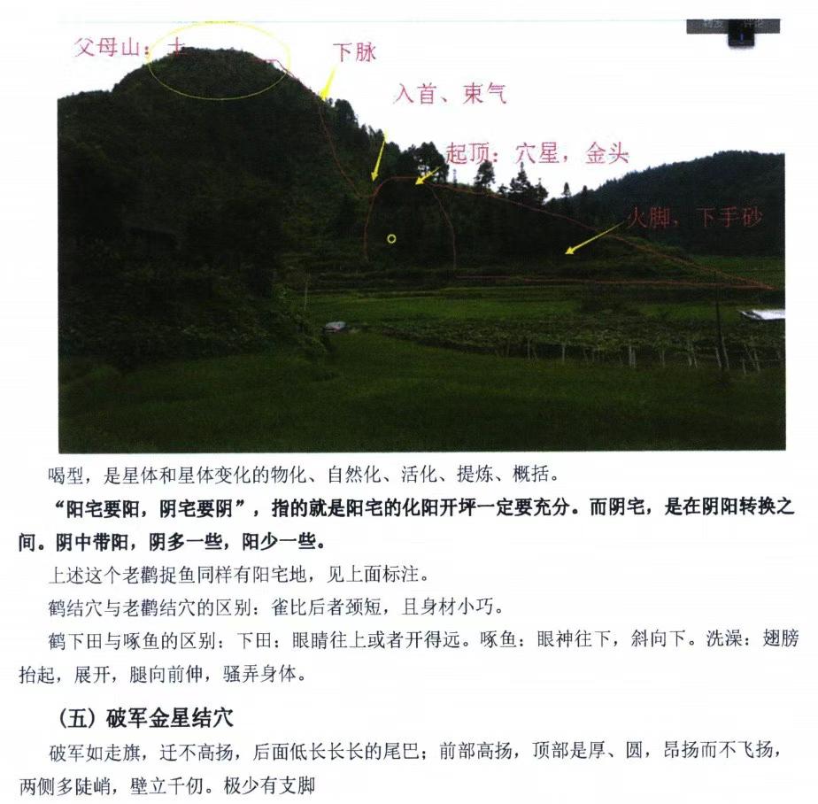 图片[7]-阴宅风水解析上下册五行天下著，660多页弟子讲义稿 百度云-真传国学