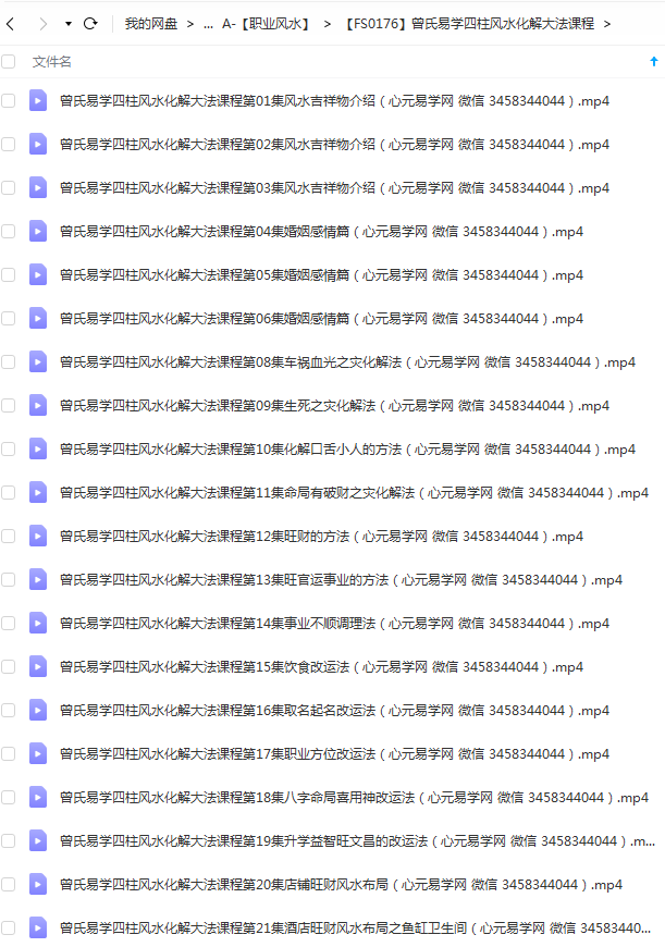 曾老师四柱风水化解大法课程高清录像视频64集15个小时 夸克网盘下载-真传国学