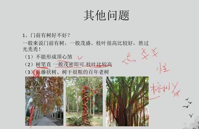 图片[5]-道易网络课堂《商铺门店商业风水》23集 百度网盘下载-真传国学