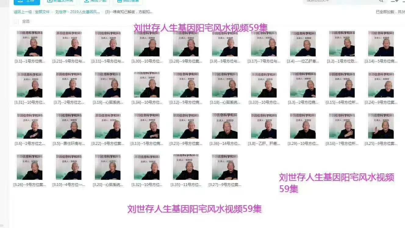 图片[4]-刘世存 – 2019人生基因风水与环境养生 百度网盘下载-真传国学