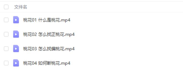 图片[2]-鲁东初玄学堂《 如何找到心仪的对象》视频课程-真传国学