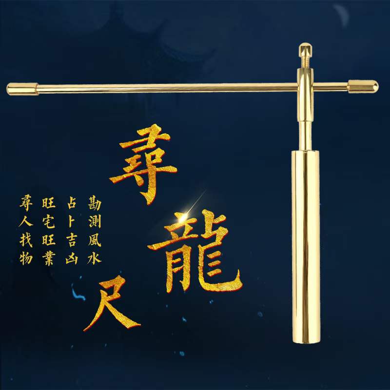 图片[3]-殷浩然《祥龙棒培训》视频10集 夸克网盘下载-真传国学