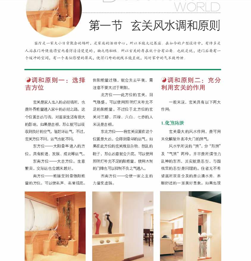 图片[8]-装潢世界风水十本pdf 高清版 百度云下载！-真传国学