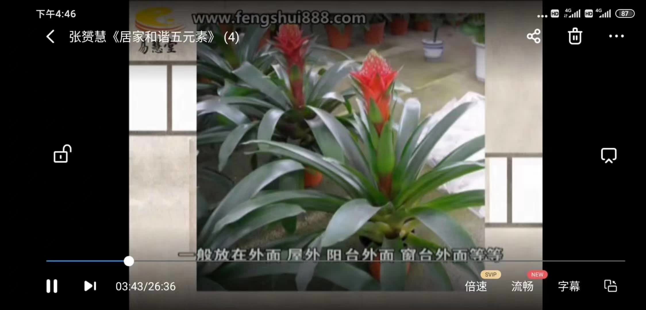 图片[5]-张赟慧 居家和谐五元素-真传国学