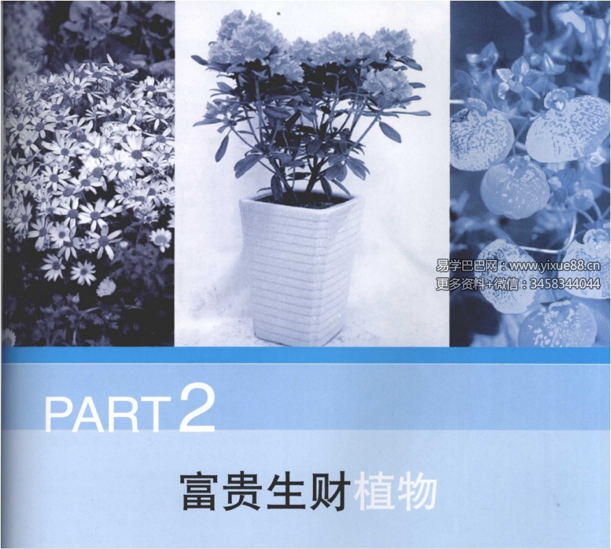 图片[5]-刘海涛《居家风水植物》96页-真传国学