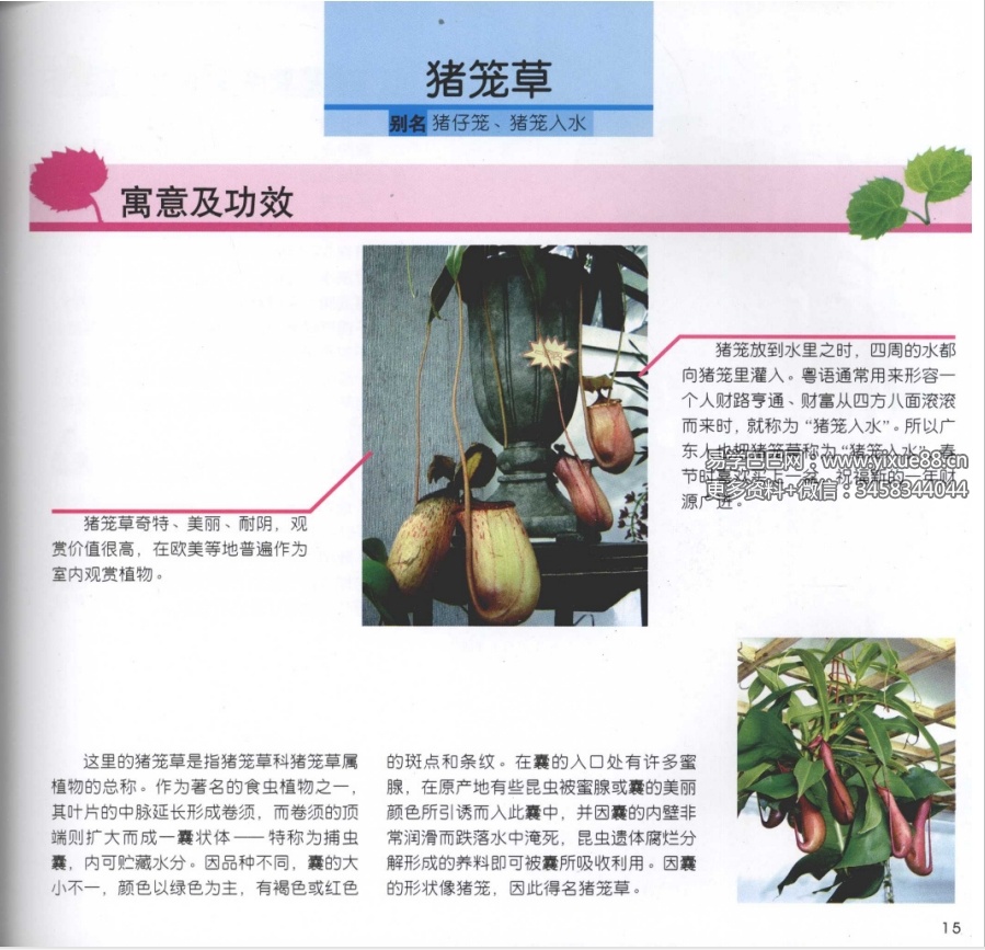 图片[6]-刘海涛《居家风水植物》96页-真传国学