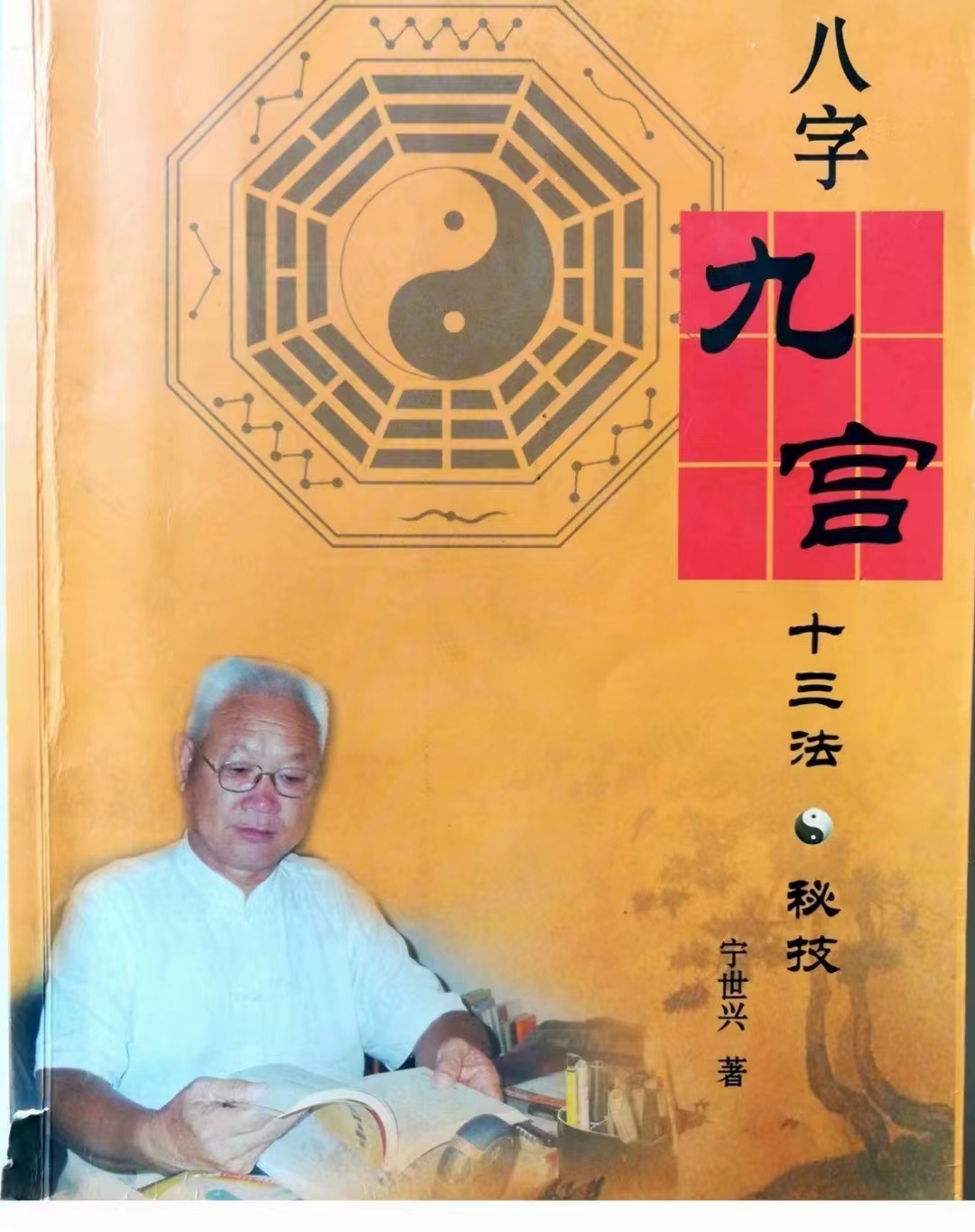 宁世兴 《八字九宫十三法 》322页 百度网盘下载-真传国学