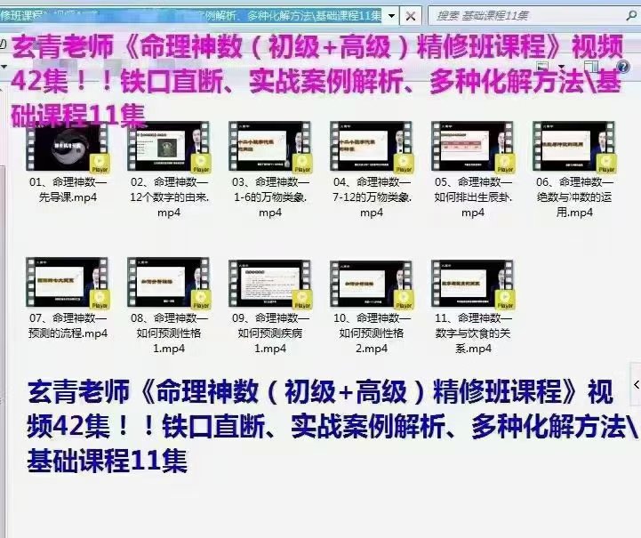 图片[2]-玄青老师命理神数（初级+高级）42集-真传国学