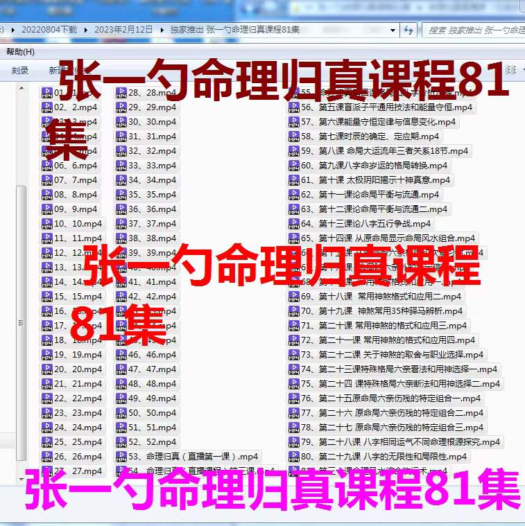 张一勺命理归真全套课程81集视频-真传国学