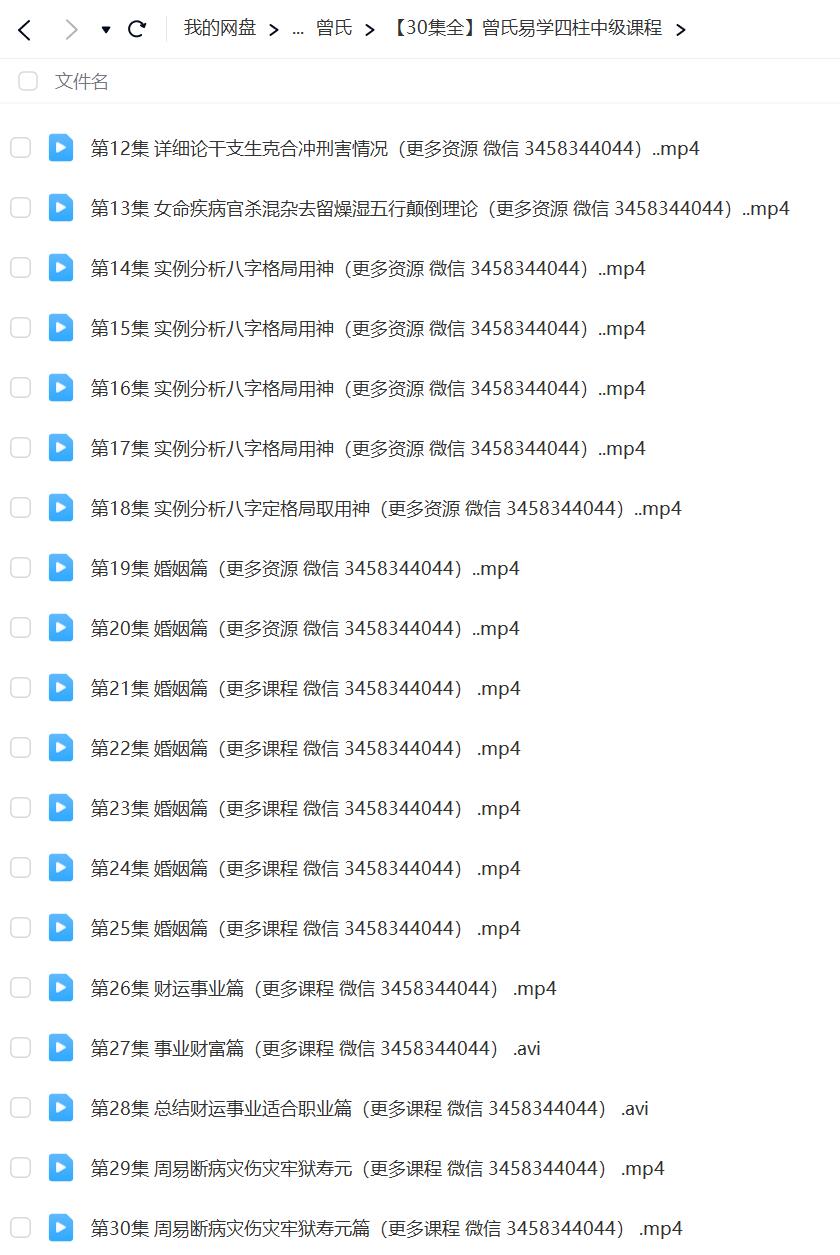 图片[8]-曾氏四柱八字（初级 中级 高级）课程-真传国学