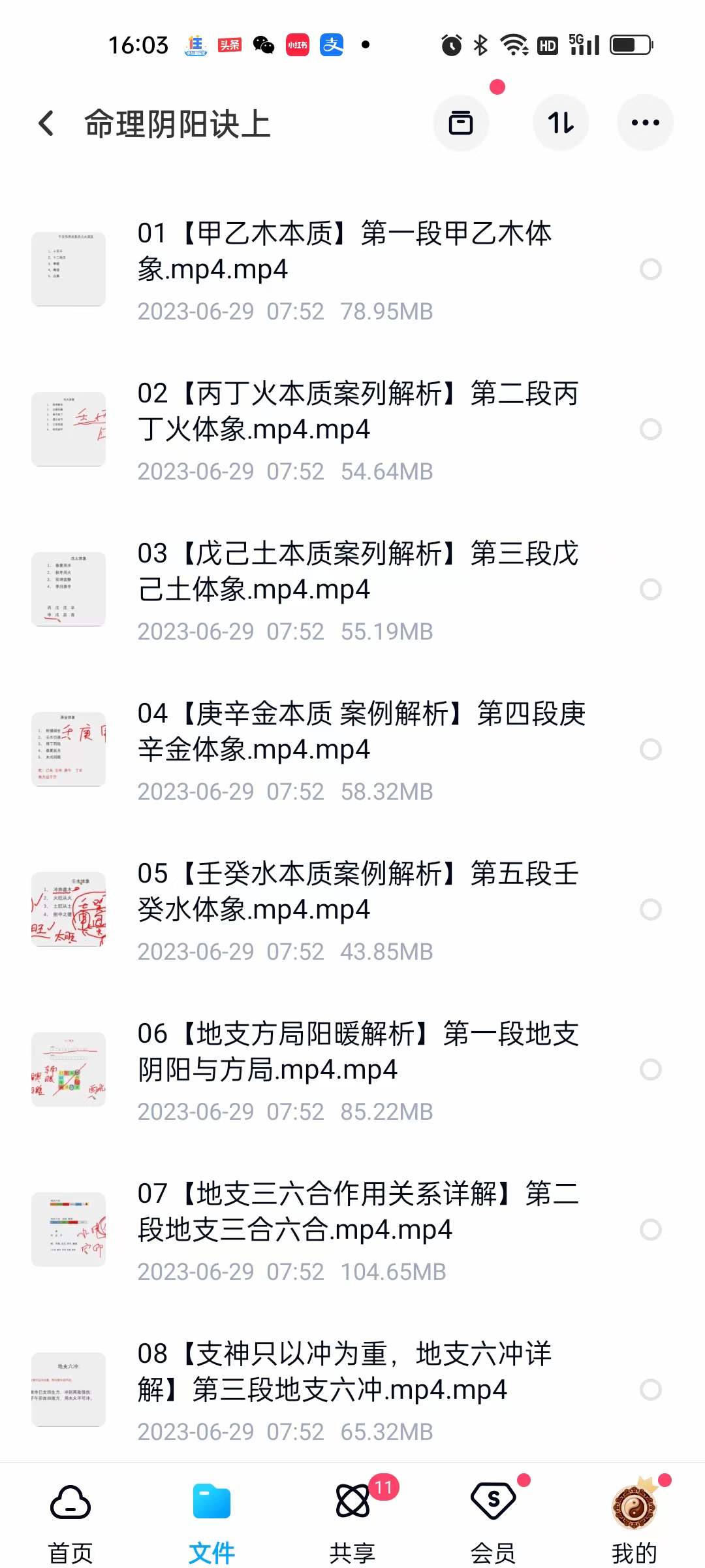 九岳山人命理阴阳诀2022八字职业班（73集）-真传国学