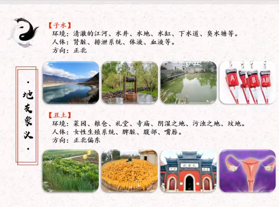 图片[3]-刘云峰 新派八字视频 10集-真传国学