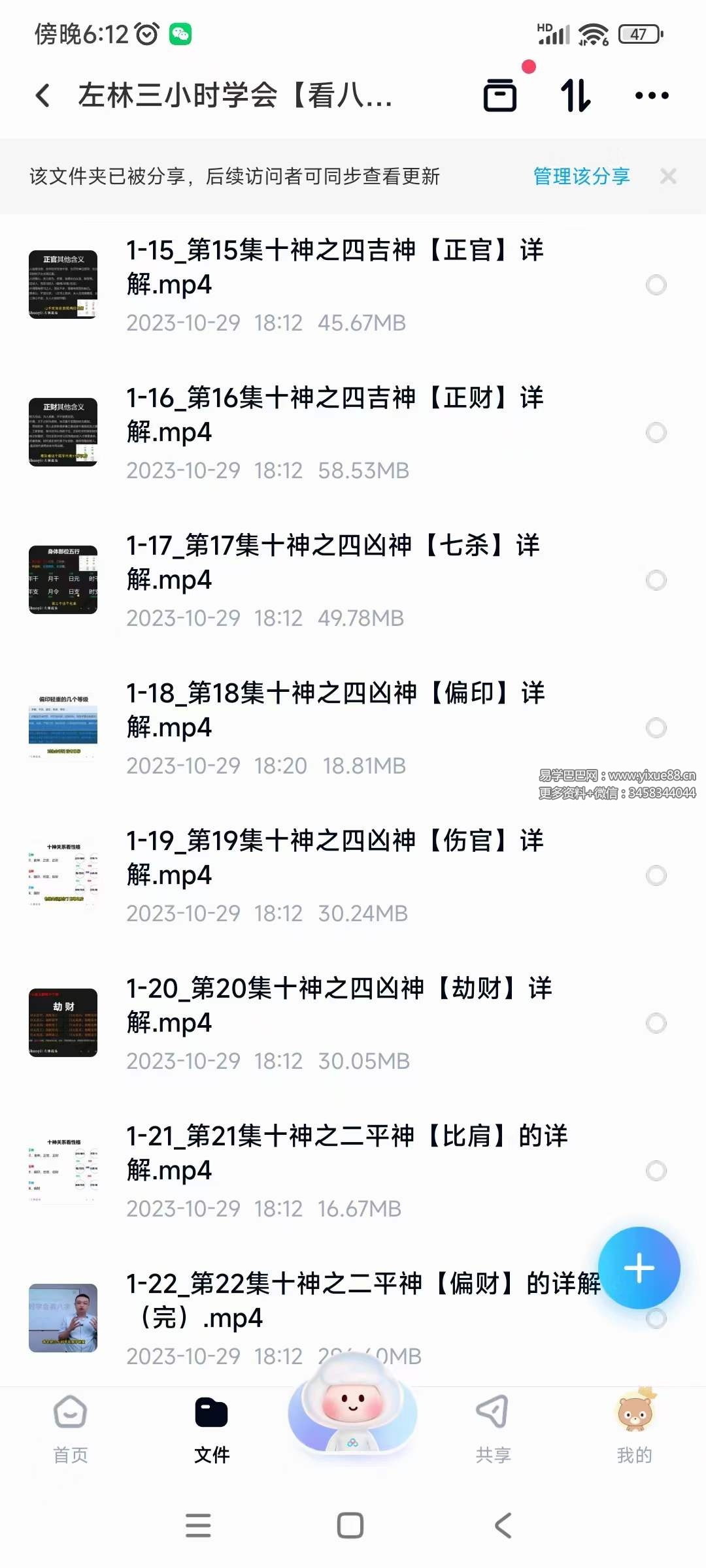 图片[3]-左林三小时学会【看八字】22集（全集）-真传国学