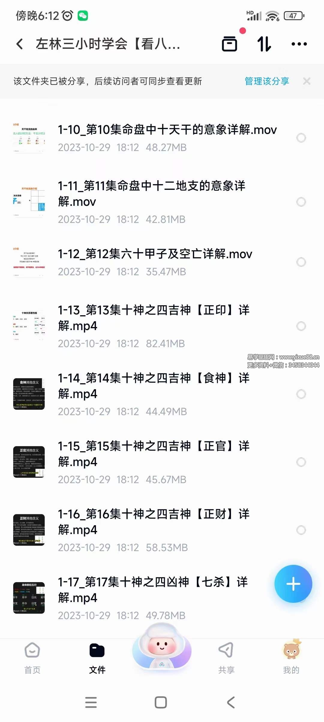 图片[4]-左林三小时学会【看八字】22集（全集）-真传国学