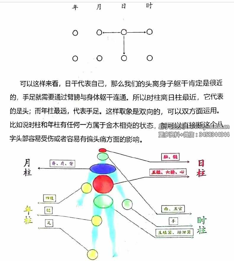图片[6]-李双林 张念 子平八字讲义454页-真传国学