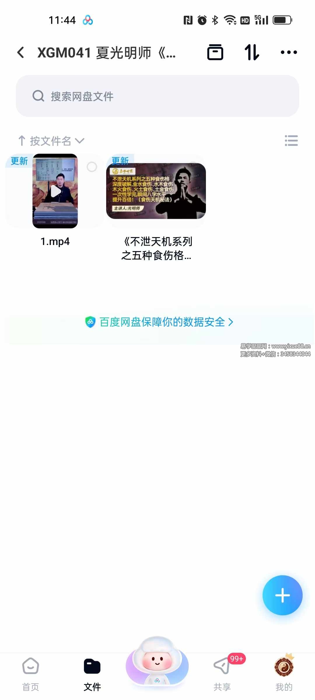 夏光明师《夏氏祖传不泄天机系列之五种食伤格深度破解（食伤天机秘法）》视频1集+文档-真传国学