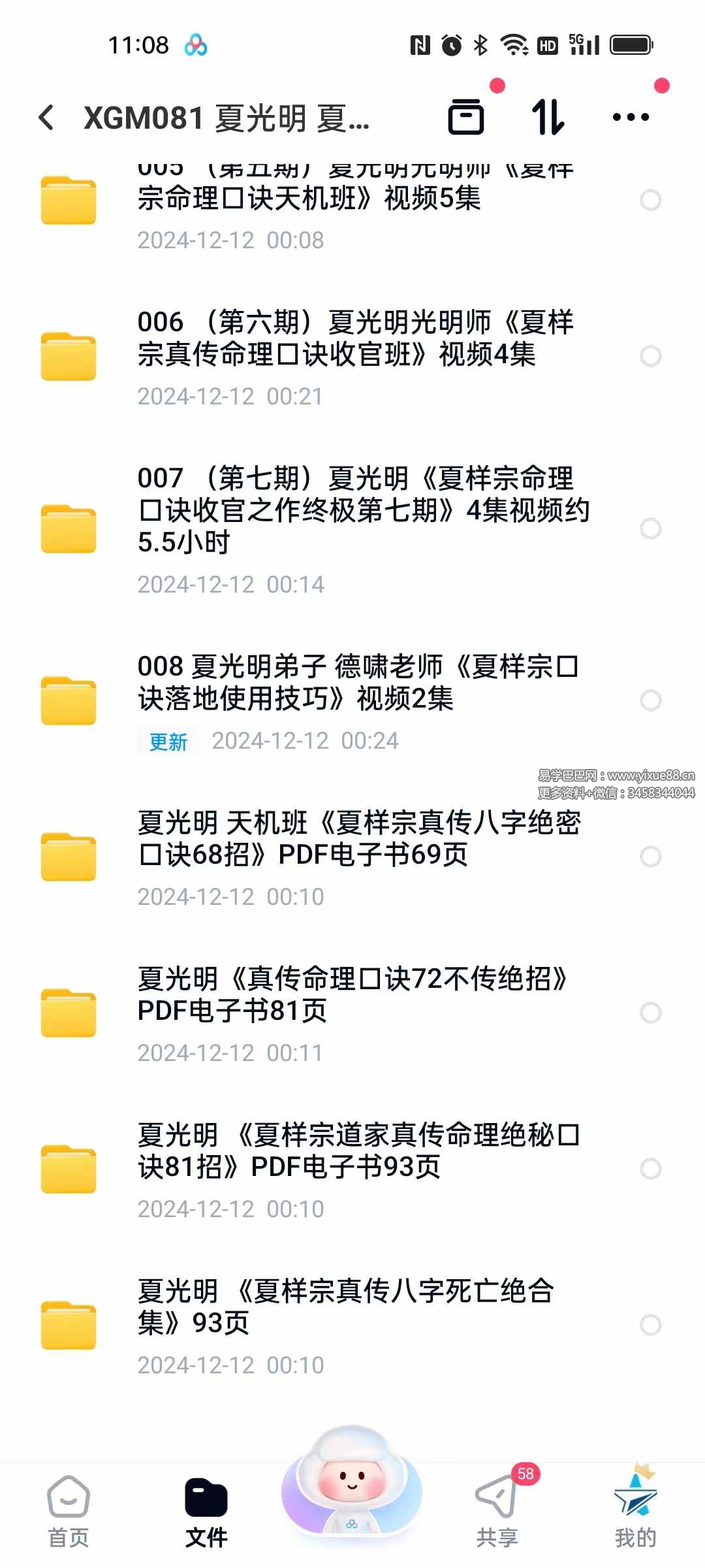 图片[2]-夏光明 夏样宗口诀12套合集-真传国学