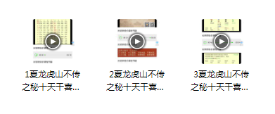 夏光明龙虎山不传之秘十天干喜忌视频3集-真传国学
