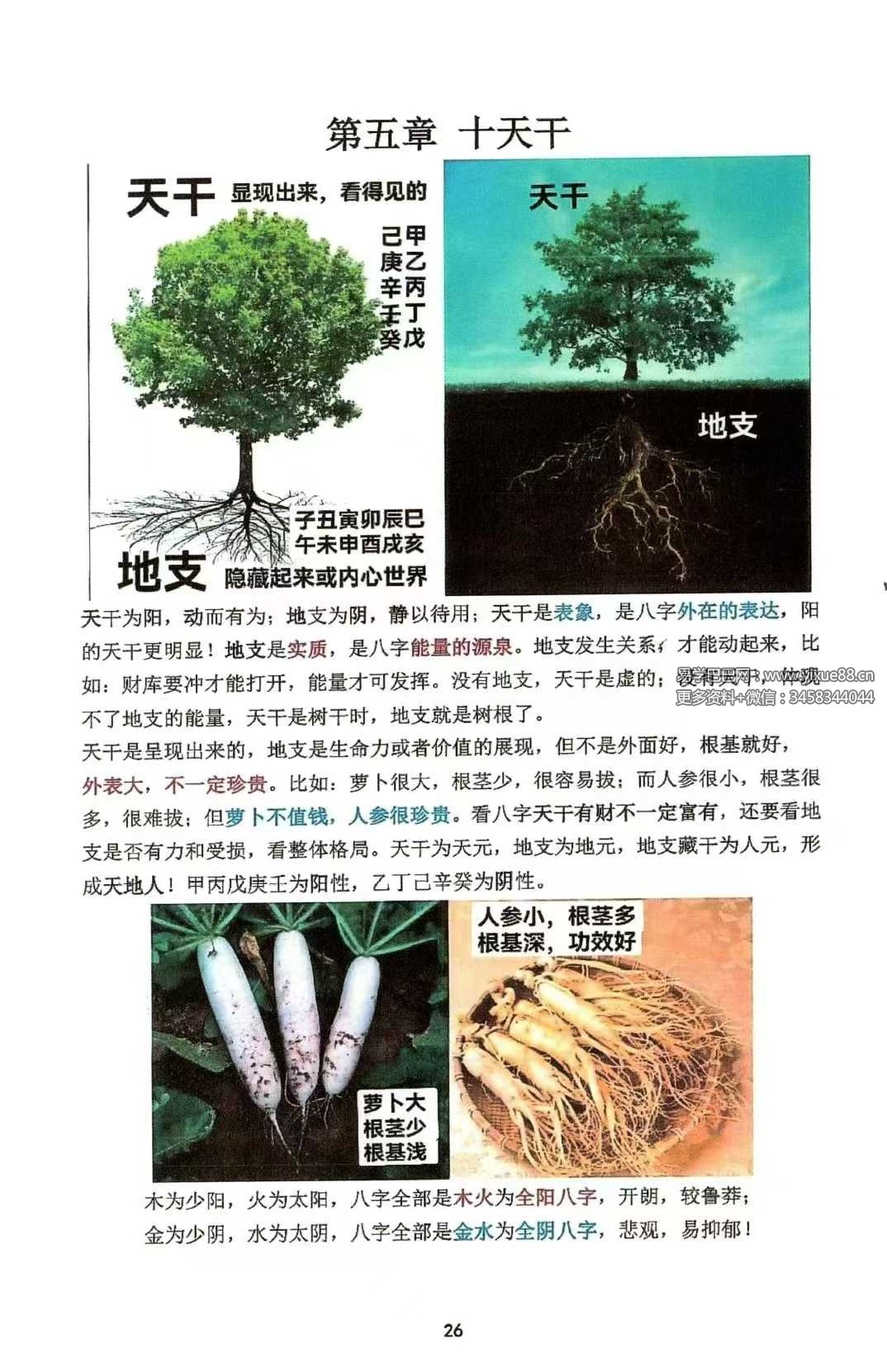 图片[3]-如何看八字《趣味八字》146页-真传国学