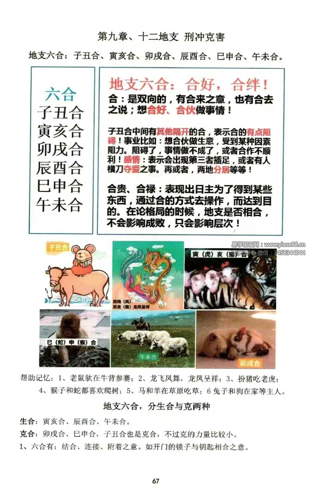 图片[6]-如何看八字《趣味八字》146页-真传国学