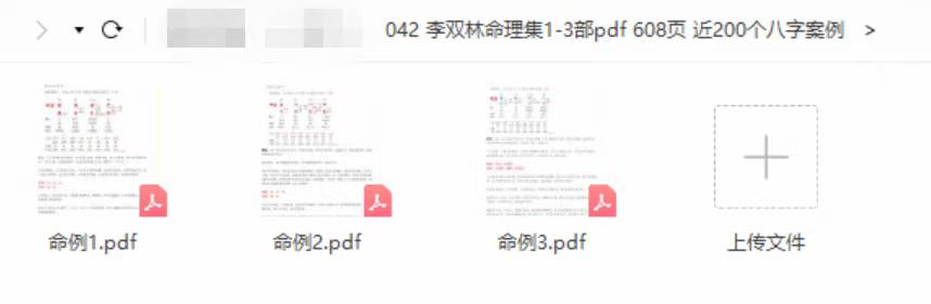 李双林命理集1-3部pdf 608页 近200个八字案例-真传国学